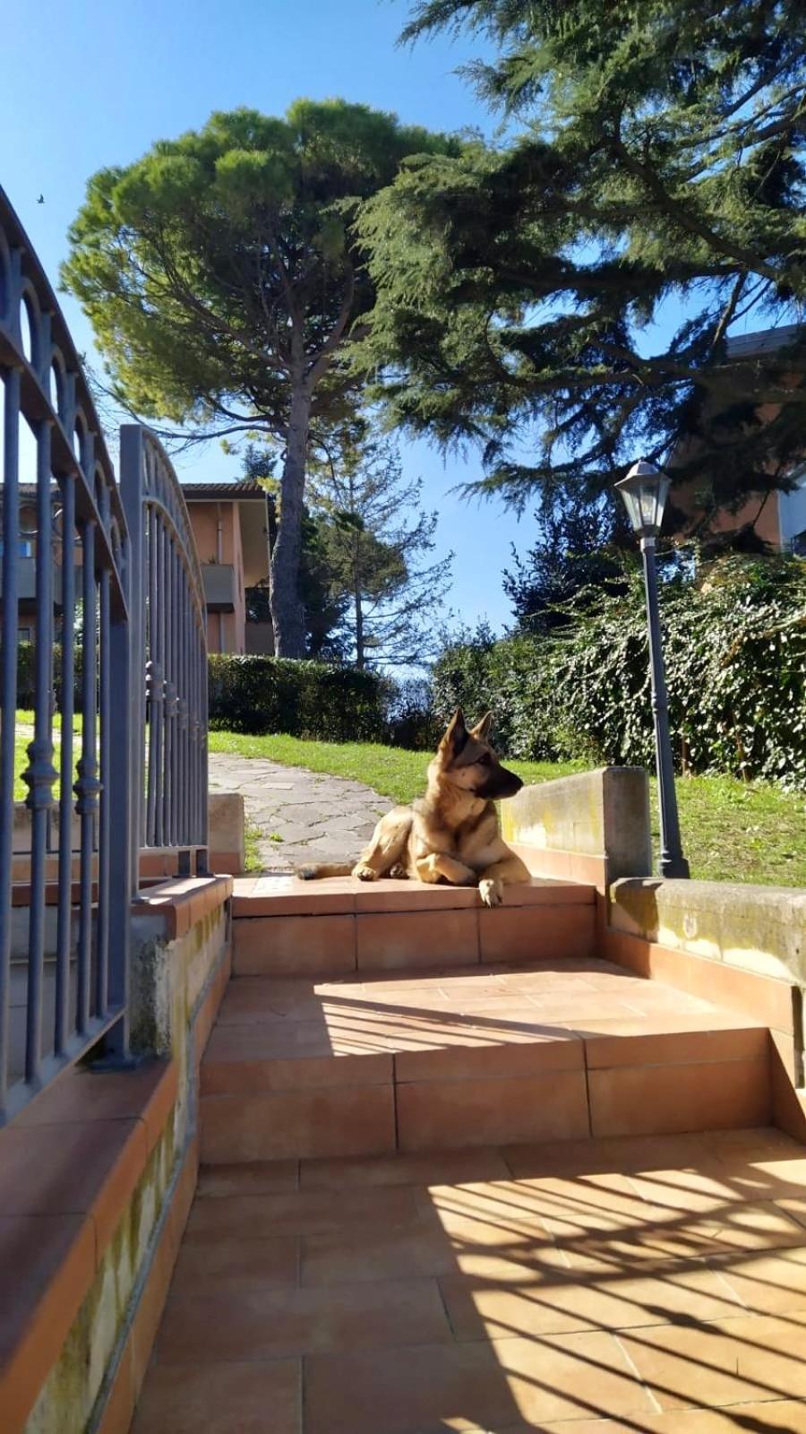 Appartamenti Pesaro Mare Ledimar Exterior photo